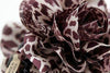 a sample image