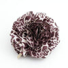 a sample image