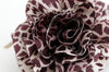 a sample image